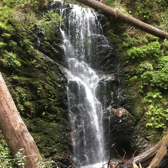 Meet your Posher, L - Picture 1 of 1